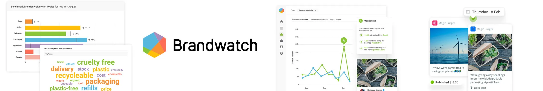 Brandwatch cover